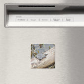 Baby geschilderde schildpad magneet (Insitu (Vaatwasser))