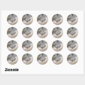 Baby geschilderde schildpad Stickers (Vel)