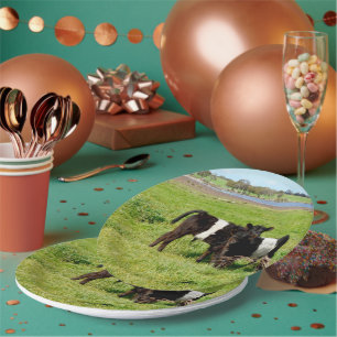 Baby-getande galloway-kalveren, Borden papier Papieren Bordje