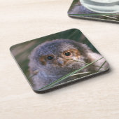 Baby Gevlammde Owl Onderzetter (Linkerzijde)