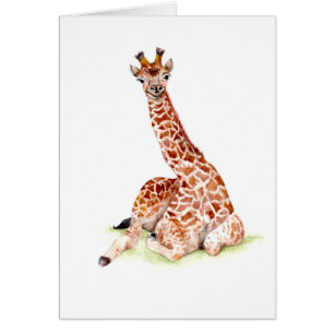 Baby Giraffe
