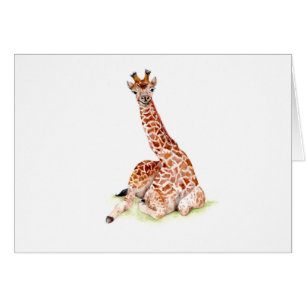 Baby Giraffe