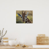 Baby Giraffe 08 Poster (Keuken)