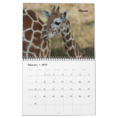 Baby Giraffe 2012 Kalender (Feb 2027)