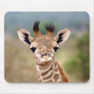 Baby giraffe afbeelding, Kenia, Afrika | Muismat