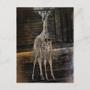 Baby Giraffe Briefkaart