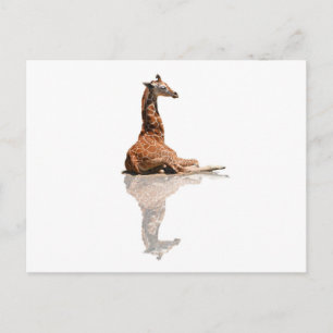 BABY GIRAFFE BRIEFKAART