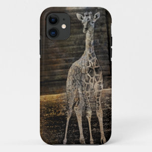 Baby Giraffe iPhone 11 Hoesje