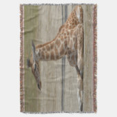 Baby Giraffe Deken (Voorkant Verticaal)