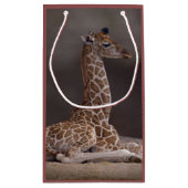 Baby Giraffe Gift Bag Klein Cadeauzakje (Achterkant)