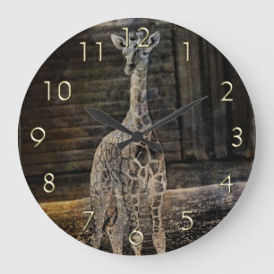 Baby Giraffe Grote Klok