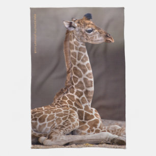 Baby Giraffe Kitchen Towel Theedoek