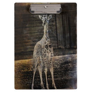 Baby Giraffe Klembord