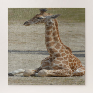 Baby Giraffe Legpuzzel