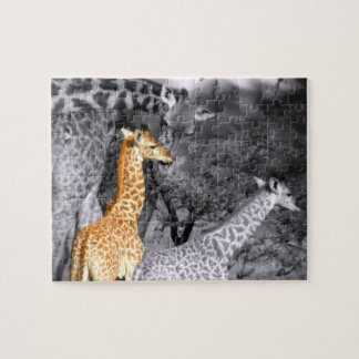 Baby Giraffe Legpuzzel