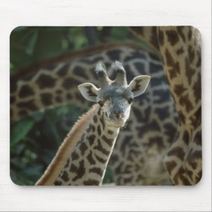 Baby Giraffe Muismat