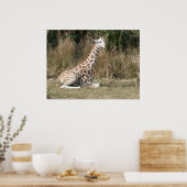 Baby Giraffe Poster (Keuken)