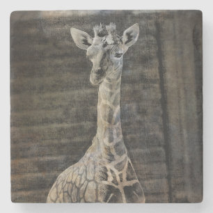 Baby Giraffe Stenen Onderzetter