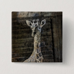 Baby Giraffe Vierkante Button 5,1 Cm