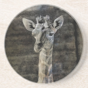 Baby Giraffe Zandsteen Onderzetter