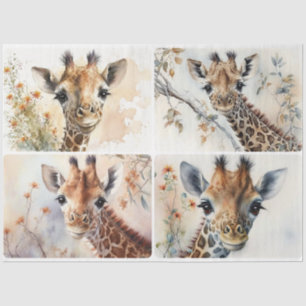 Baby Giraffes Tissuepapier
