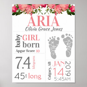 Baby Girl Birth Stat Sign Roze Floral Footprint Poster