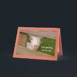 Baby Goat Poetry Carte d'anniversaire<br><div class="desc">Jolie chèvre de bébé regardant de derrière la clôture avec de grands voeux d'anniversaire. Carte colorée amusante pour tous ceux qui aiment ces animaux fantastiques. Personnalisez le message et créez votre propre salutation spéciale. Merci de chercher ! Photo ©Christine Greenspan</div>