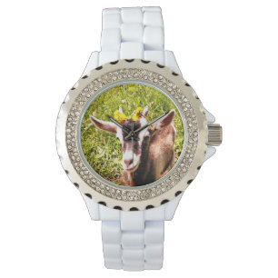 Baby Goat Rhinestone Watch Horloge