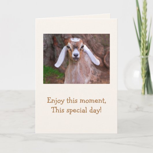 Baby Goat Wisdom Birthday Kaart (Voorkant)