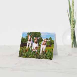 "Baby Goats" Opmerking Kaart