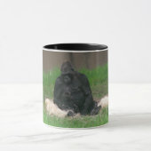 baby gorilla 001 mok (Midden)