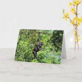 Baby Gorilla (2035) - Carte de voeux (Fleur jaune)