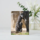 Baby Gorilla Briefkaart (Staand voorkant)