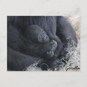 Baby Gorilla Briefkaart