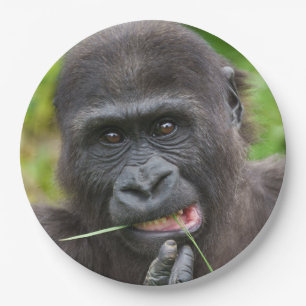 Baby Gorilla Cuteness Papieren Bordje