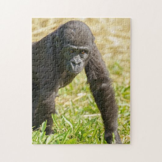 Baby Gorilla Legpuzzel (Verticaal)