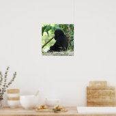 Baby Gorilla Poster (Keuken)