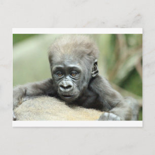 BABY GORILLA RELAXING BRIEFKAART