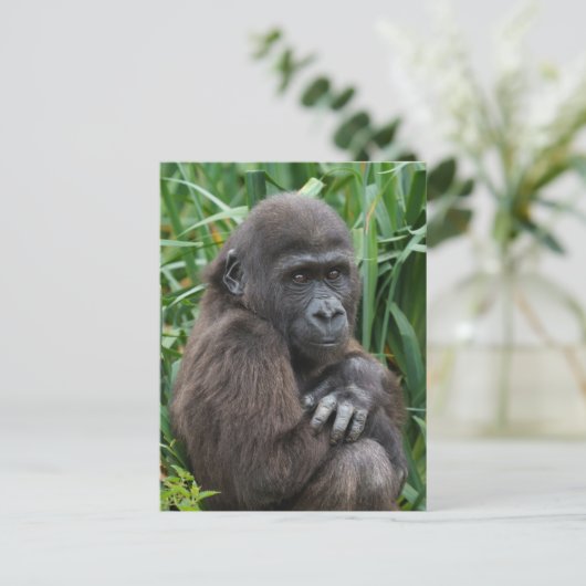 Baby Gorilla Tapestry Briefkaart (Staand voorkant)