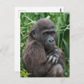 Baby Gorilla Tapestry Briefkaart (Voorkant / Achterkant)