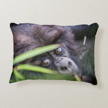 Baby gorilla van Rwanda-Afrika