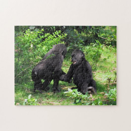 Baby Gorillas Jouer au puzzle (Horizontal)