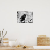 Baby Grackle Poster (Keuken)