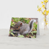 Baby Gray Kaart (Gele Bloem)