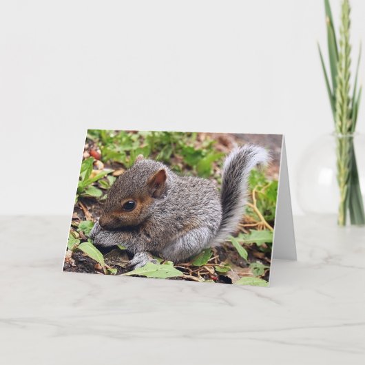 Baby Gray Kaart (Voorkant)