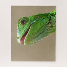 Baby Green Iguana Legpuzzel