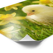 baby griet in maffia foto afdruk (Hoek)