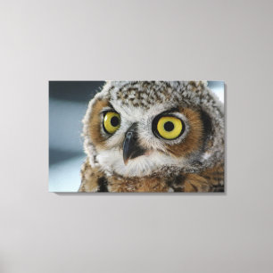 Baby grote honduil canvas afdruk