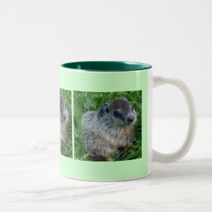 Baby Groundhog 11 Oz. Mug