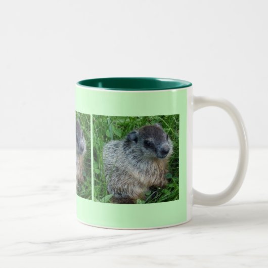 Baby Groundhog 11 Oz. Mug (Droit)